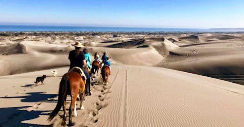 Privétour met paardrijden, Concón, Reñaca en Viña del Mar